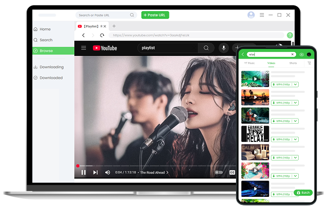 프로 링크 MP4 변환기
